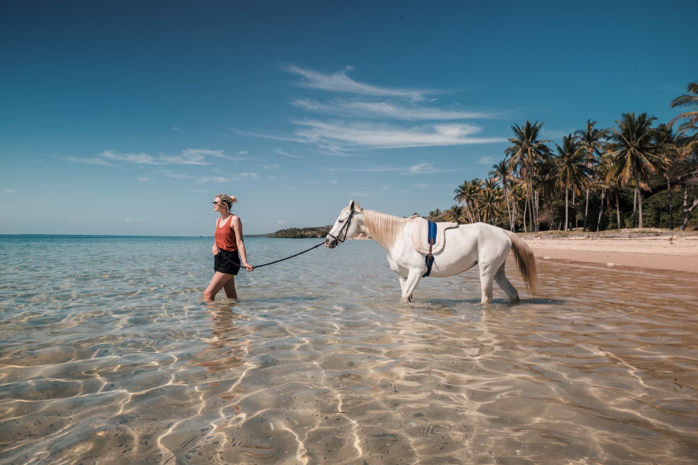 Horse Safari – Ocean Walk
