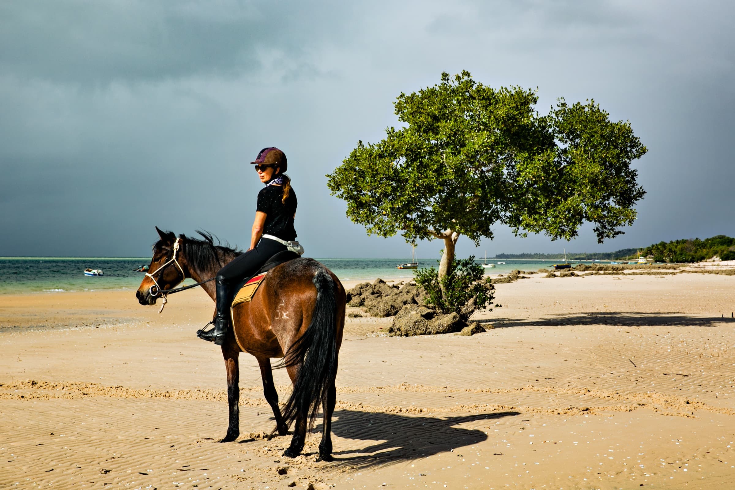 Horse Safari – Beach & Bush Ride