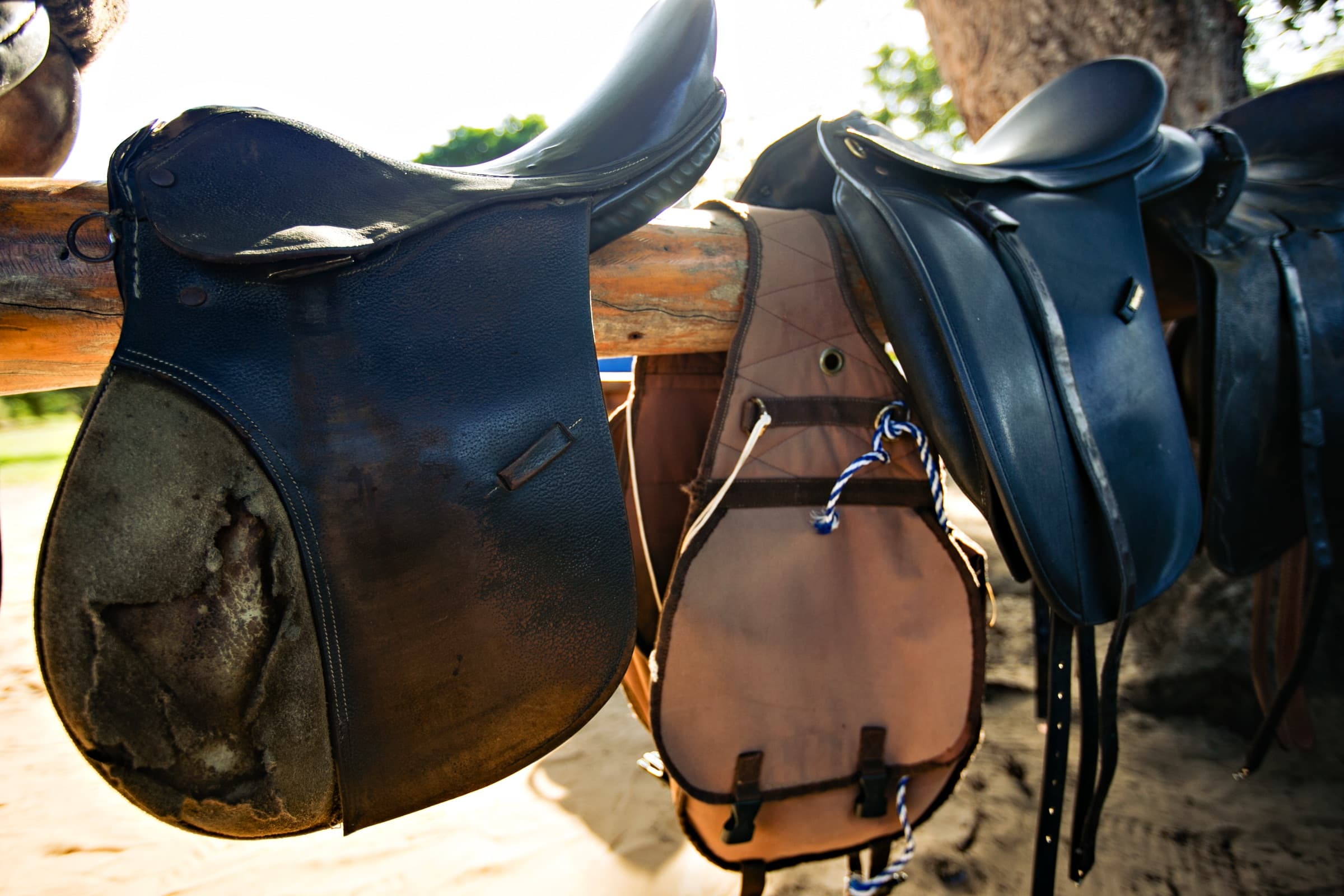 Horse Safari – Fishing Village Ride